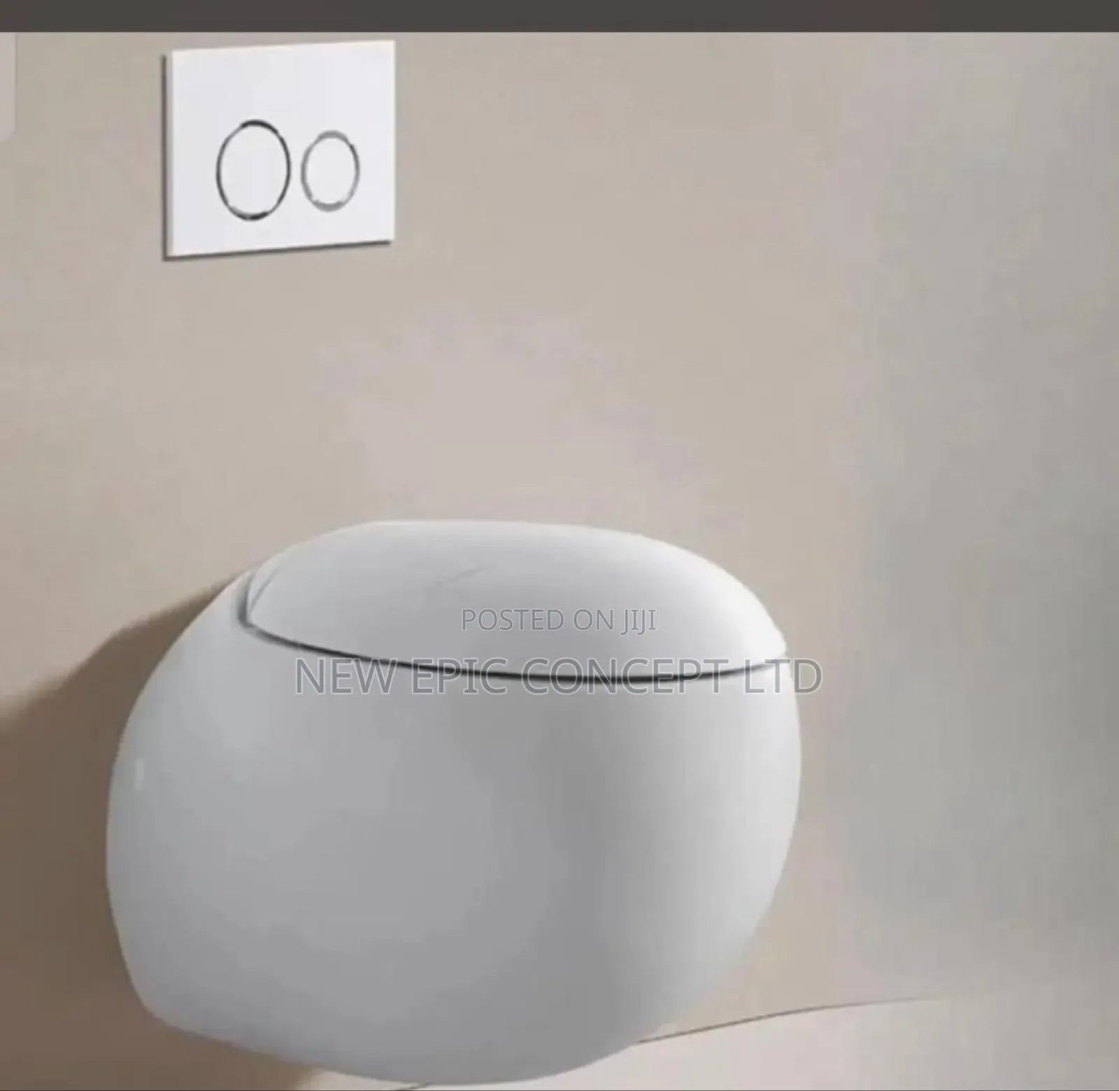 Special Egg Shape Toilet Conceal Wall Hung