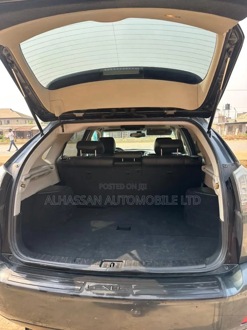 Lexus RX 2007 Green