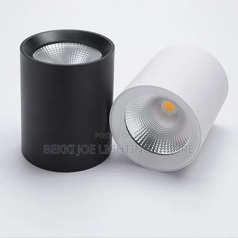 Led Down Light
