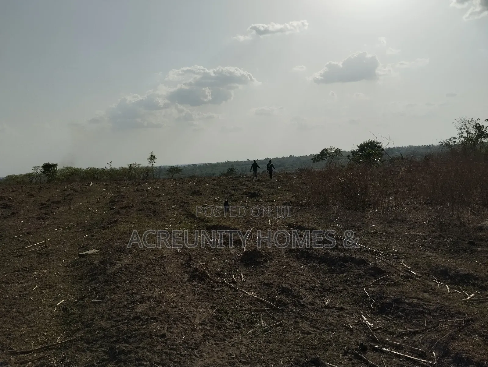 58 Acres of Farmland Available, Alagbede Village, Iseyin, Oyo State