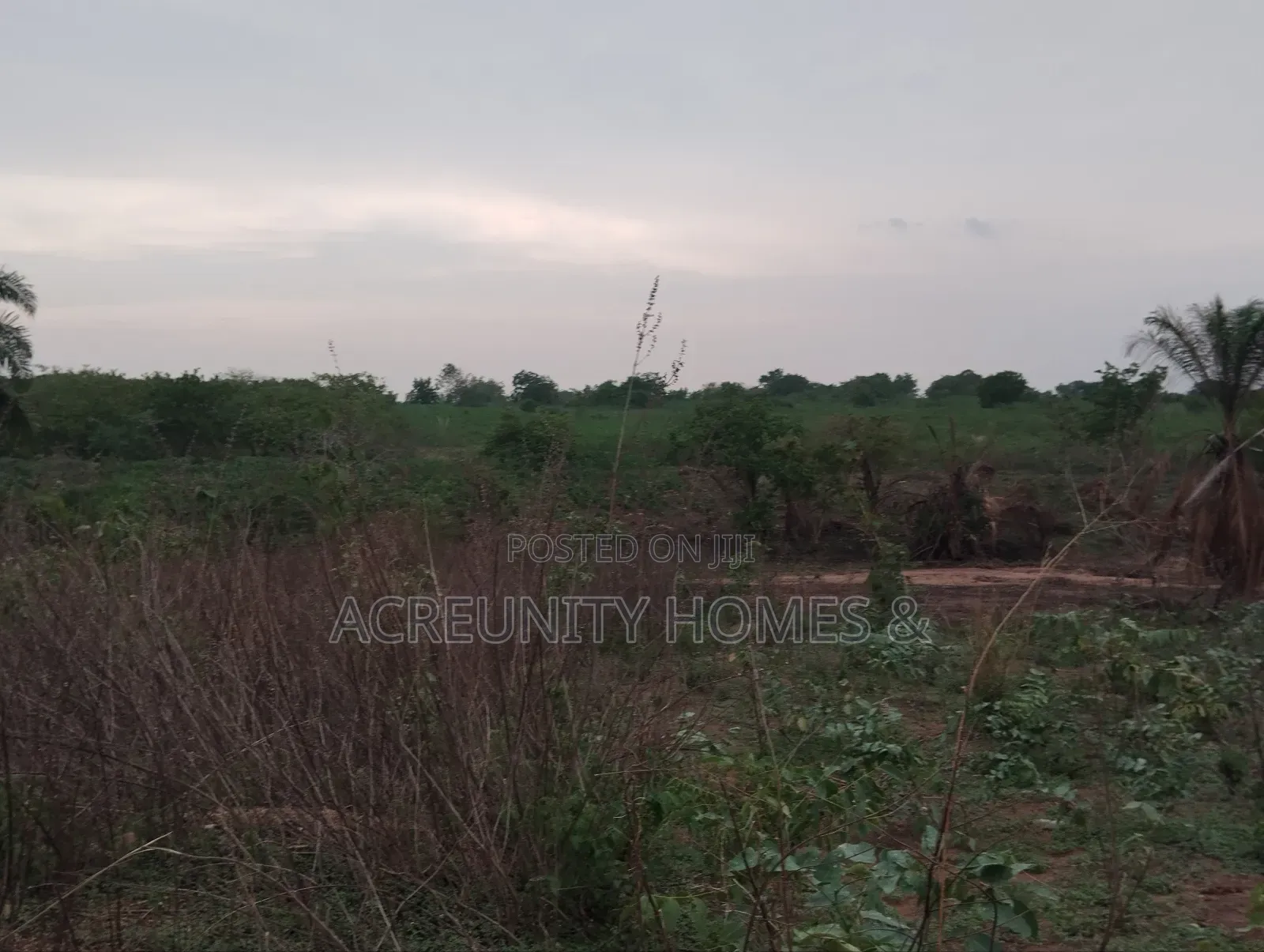 5 Acres of Commercial Land in Prime Area,Iseyin-Ogbomoso Way Oyo State