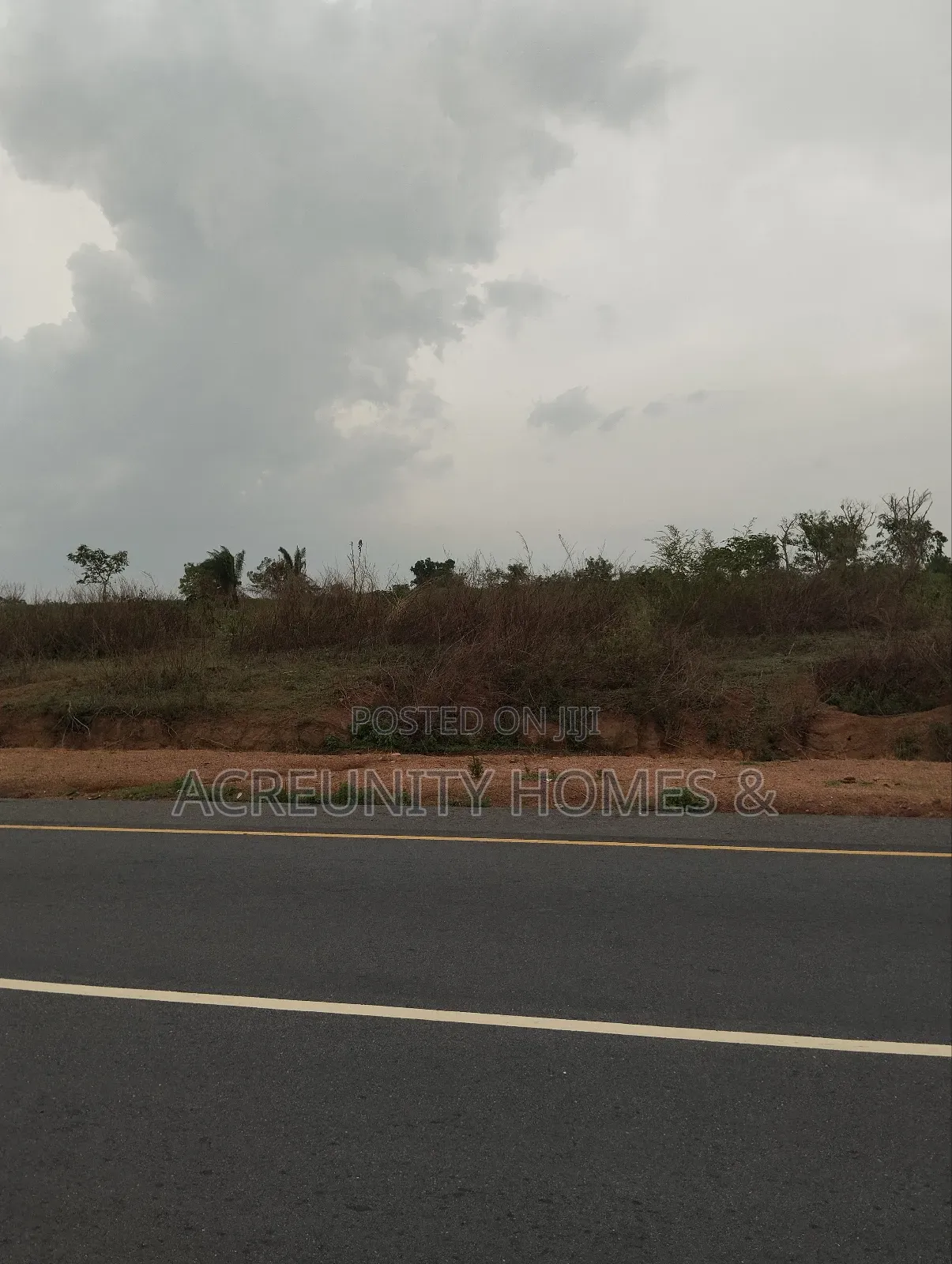110 Acres of Fertile Farmland – Waasimi, Iseyin Local Govt, Oyo State