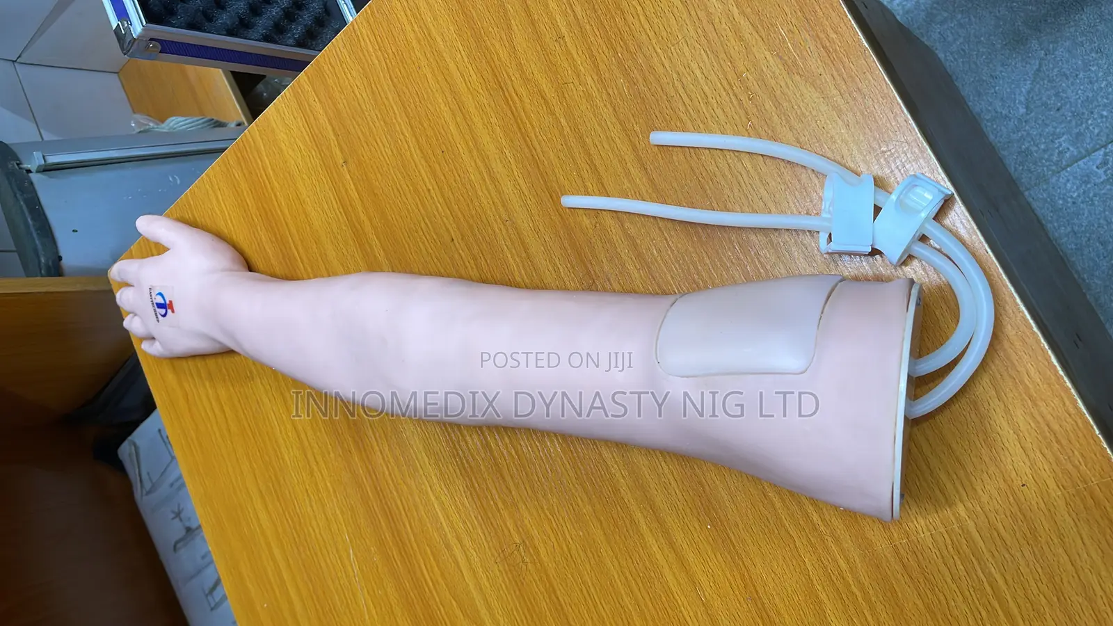 Human Arm Model
