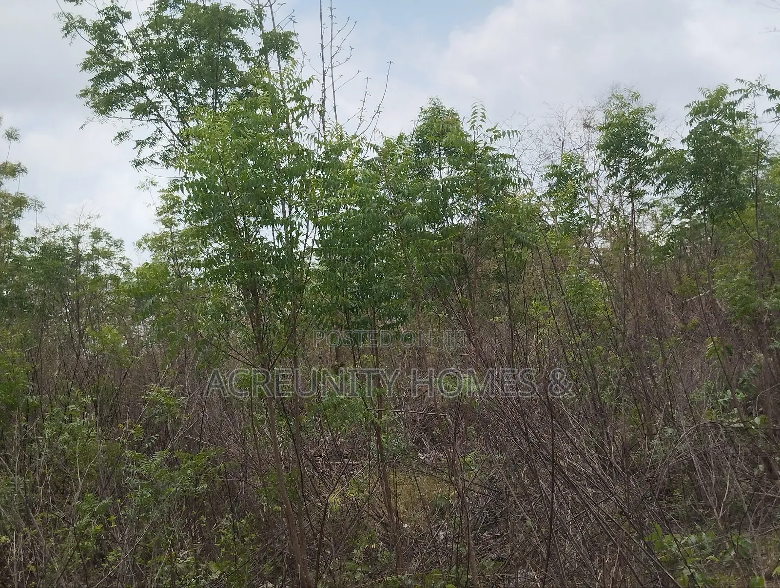 500 Acres of Fertile Farmland for Sale in Kisanija, Okeho (Kajola Lga)
