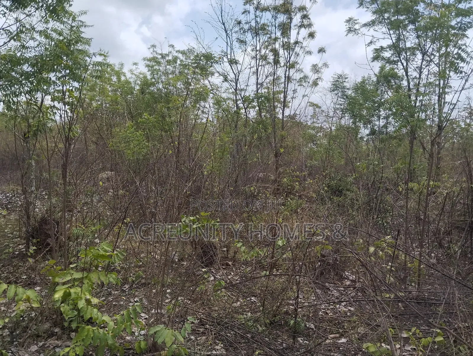 500 Acres of Fertile Farmland for Sale in Kisanija, Okeho (Kajola Lga)
