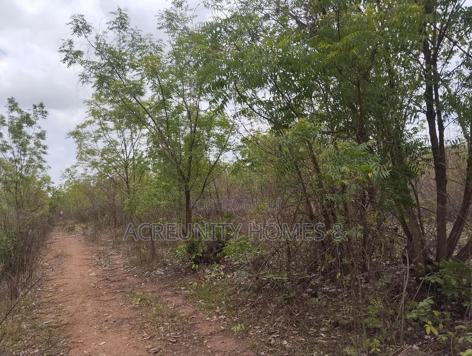 500 Acres of Fertile Farmland for Sale in Kisanija, Okeho (Kajola Lga)