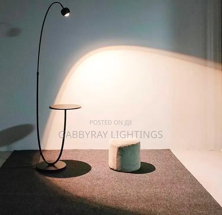 Led Floor Lamp
