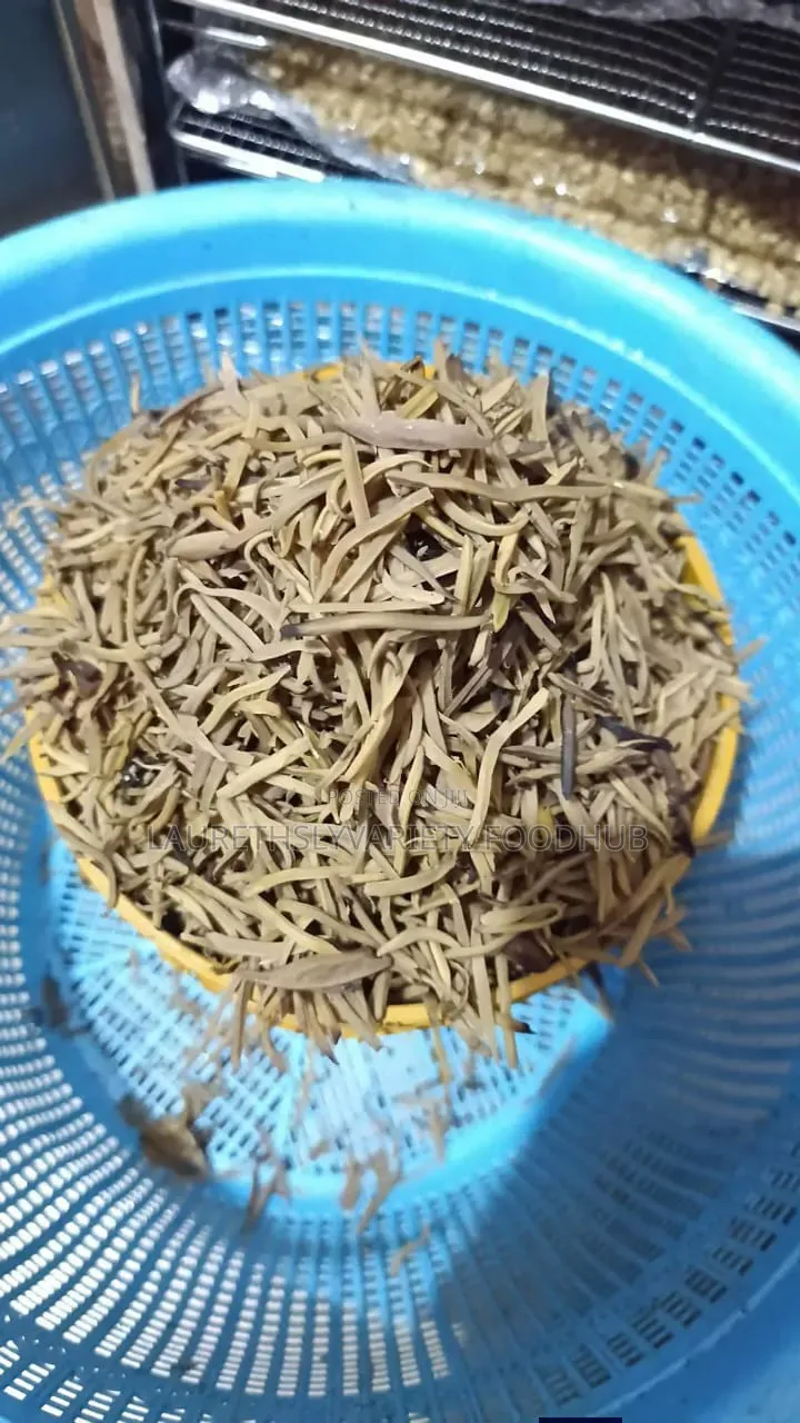 Fresh and Dry Ugba (African Oil Bean Seed) Available – Clean Quality