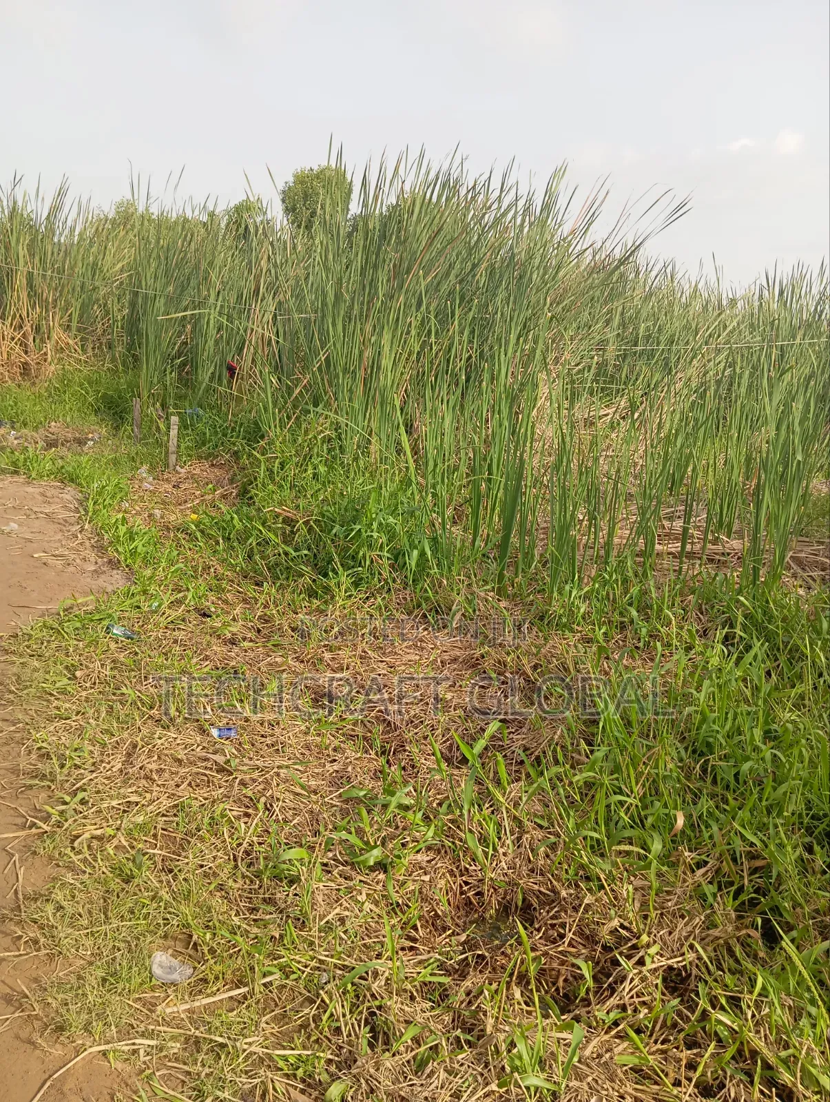 Fastest Finger Up for Grab Buy Build Land for Sale in Sangotedo