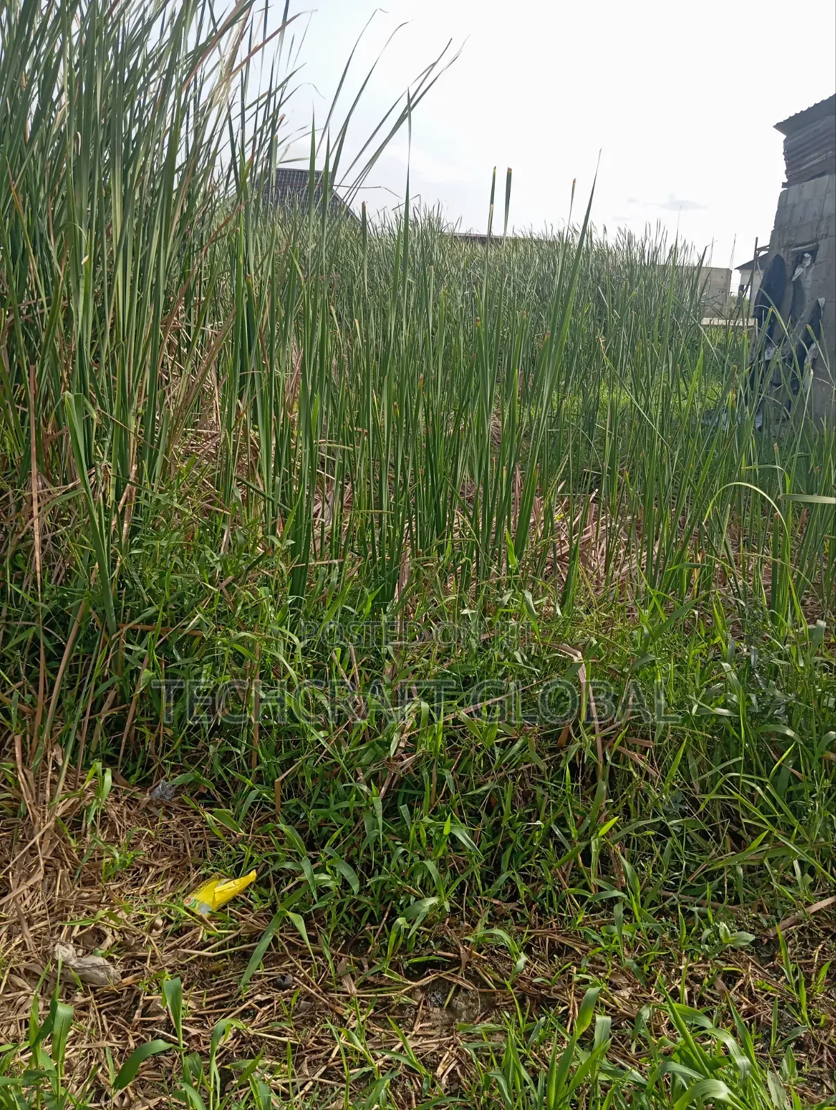 Fastest Finger Up for Grab Buy Build Land for Sale in Sangotedo