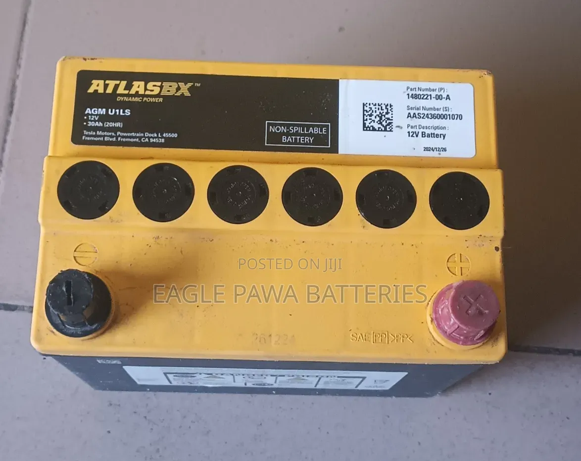 Tesla Battery