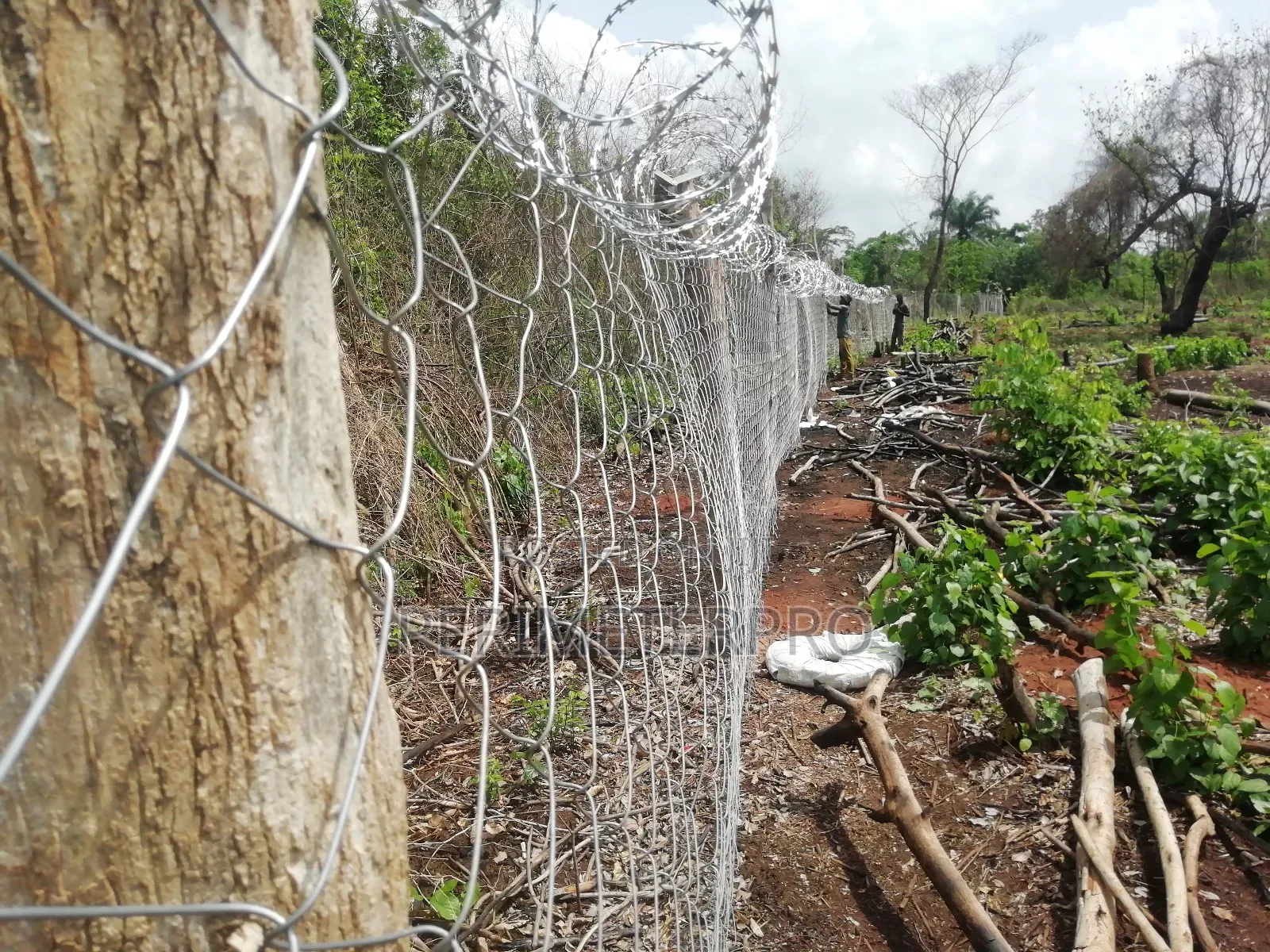Professional Chain Link Fencing