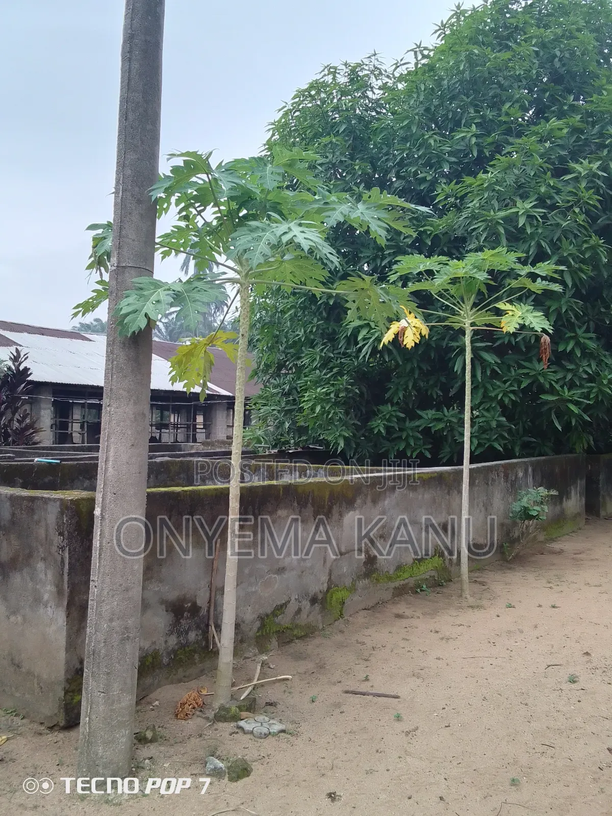 Pen Houses, Fish Ponds to Let