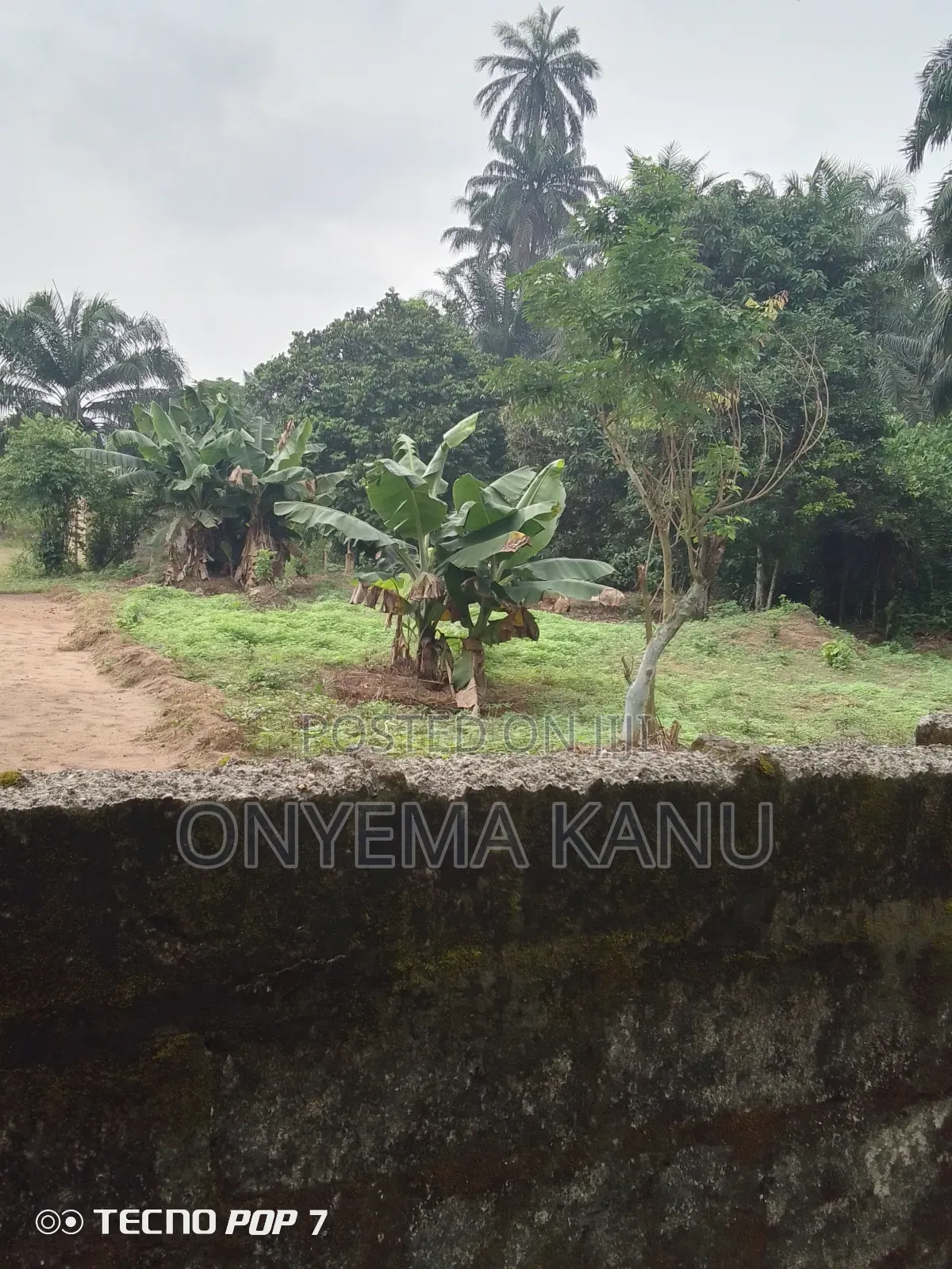 Pen Houses, Fish Ponds to Let