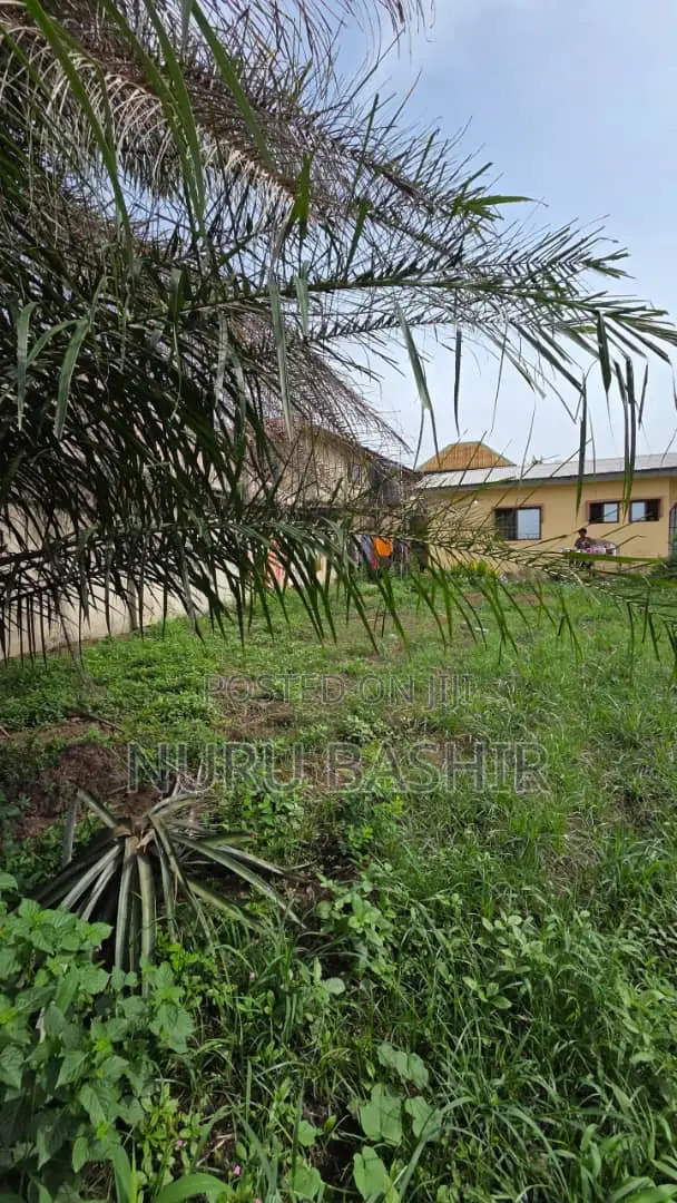 Well Fenced and Gated Plot of Land at Progressive Estate Akala Express