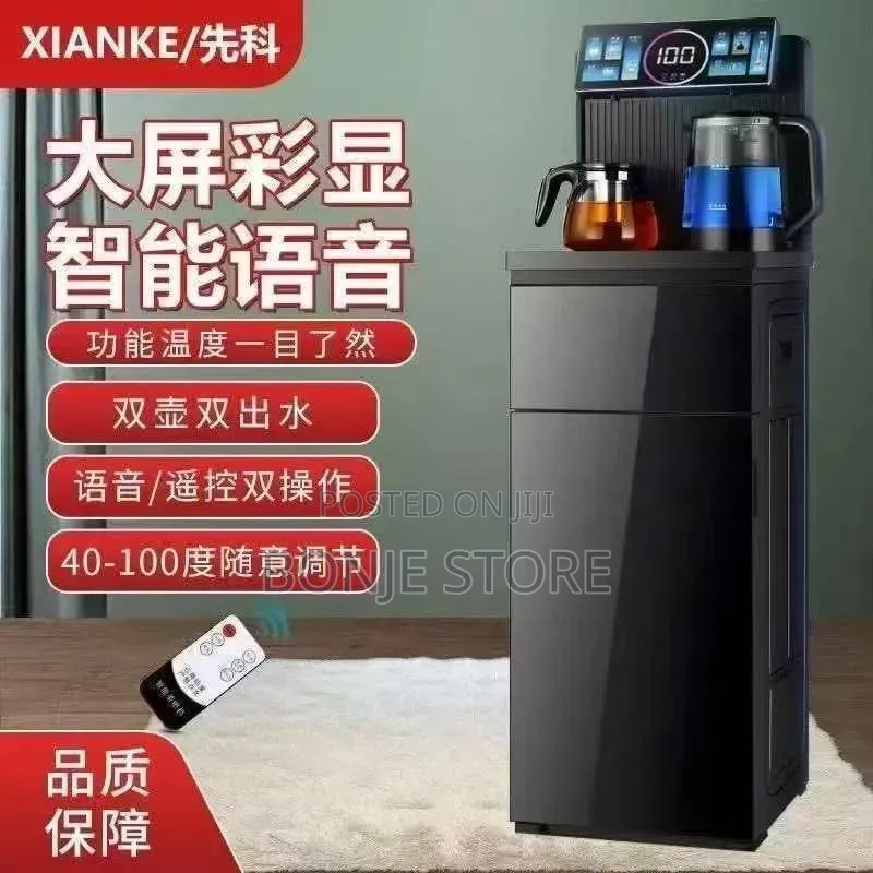 Multi Function Water Dispenser Hot/Normal Temperature Water
