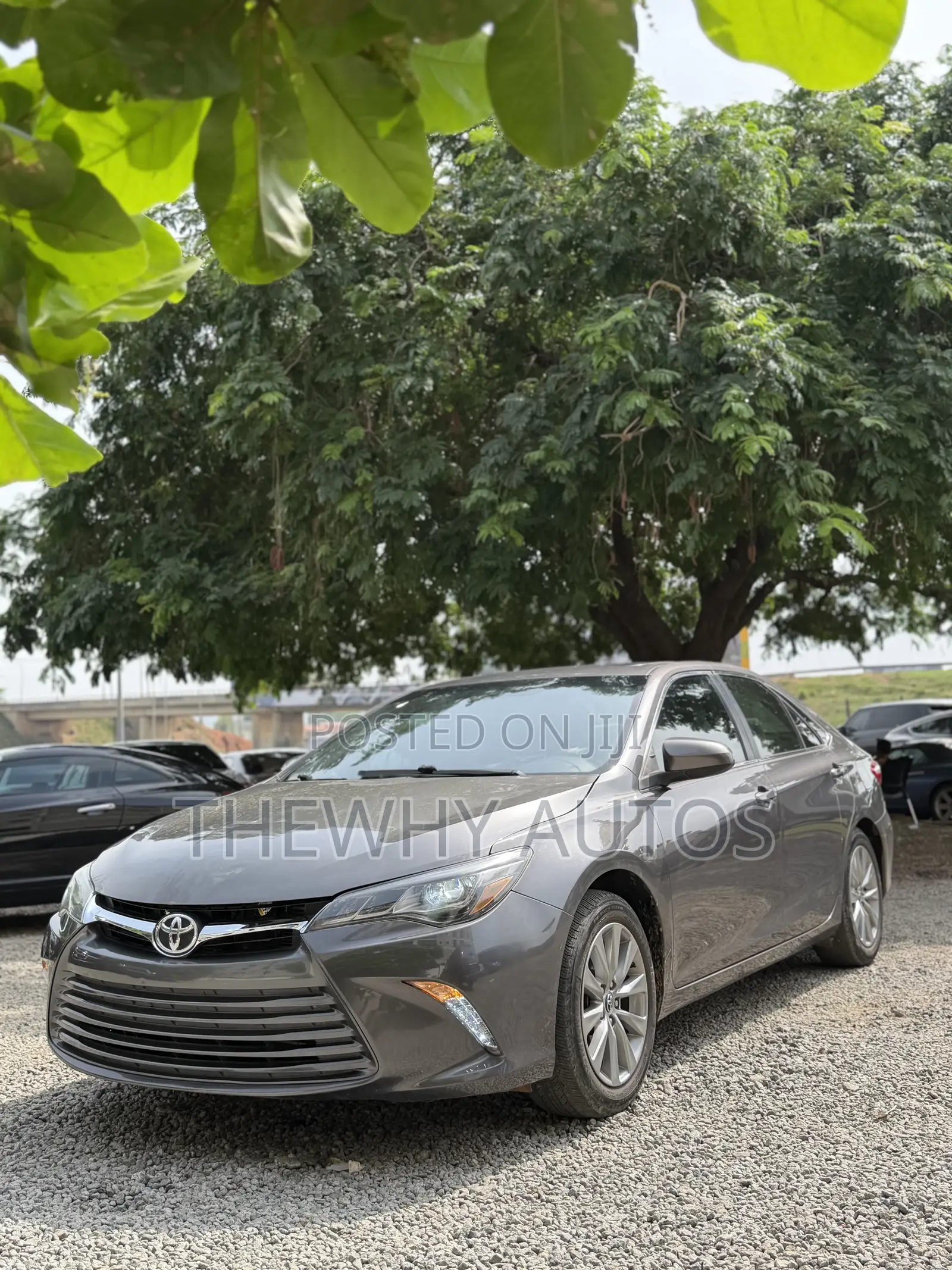 Toyota Camry XLE 4dr Sedan (3.5L 6cyl 6A) 2015 Gray