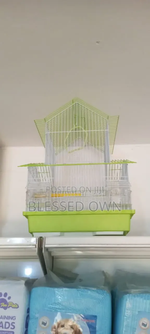 Imported Fancy Parrot Birds Cages
