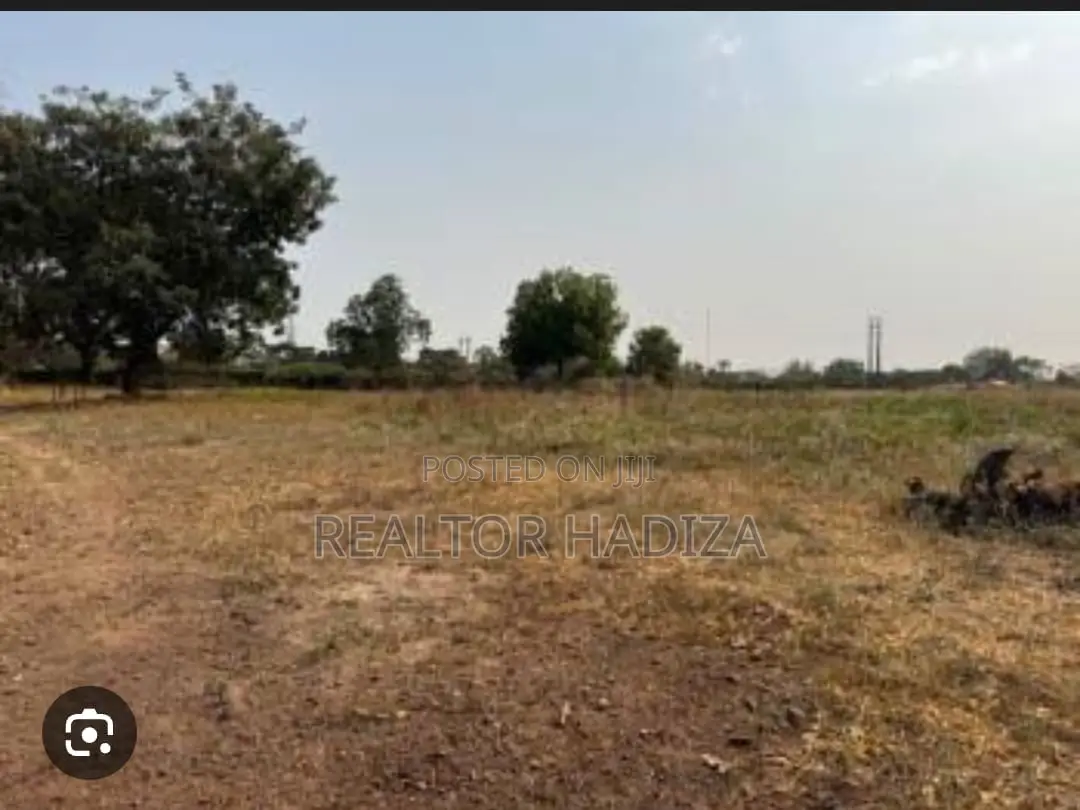 Estate Land