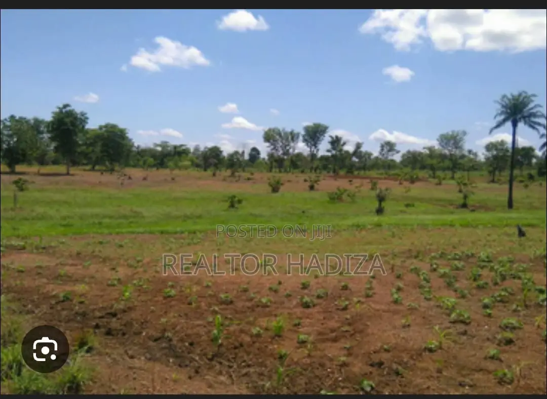 Estate Land