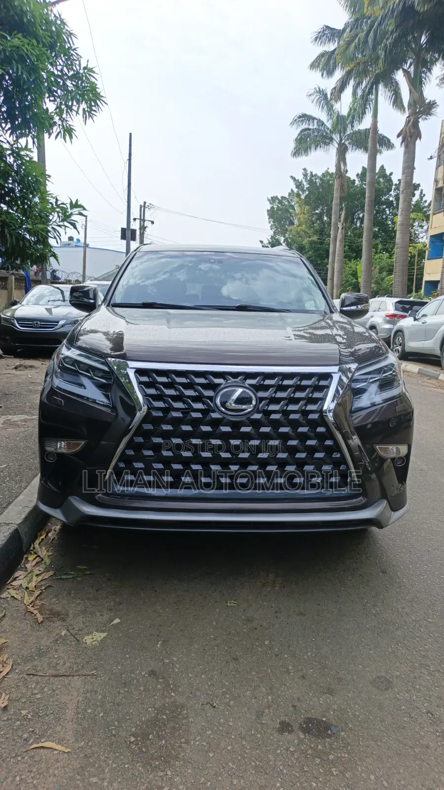 Lexus GX 460 Luxury 2019 Brown
