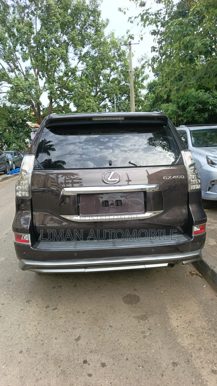 Lexus GX 460 Luxury 2019 Brown