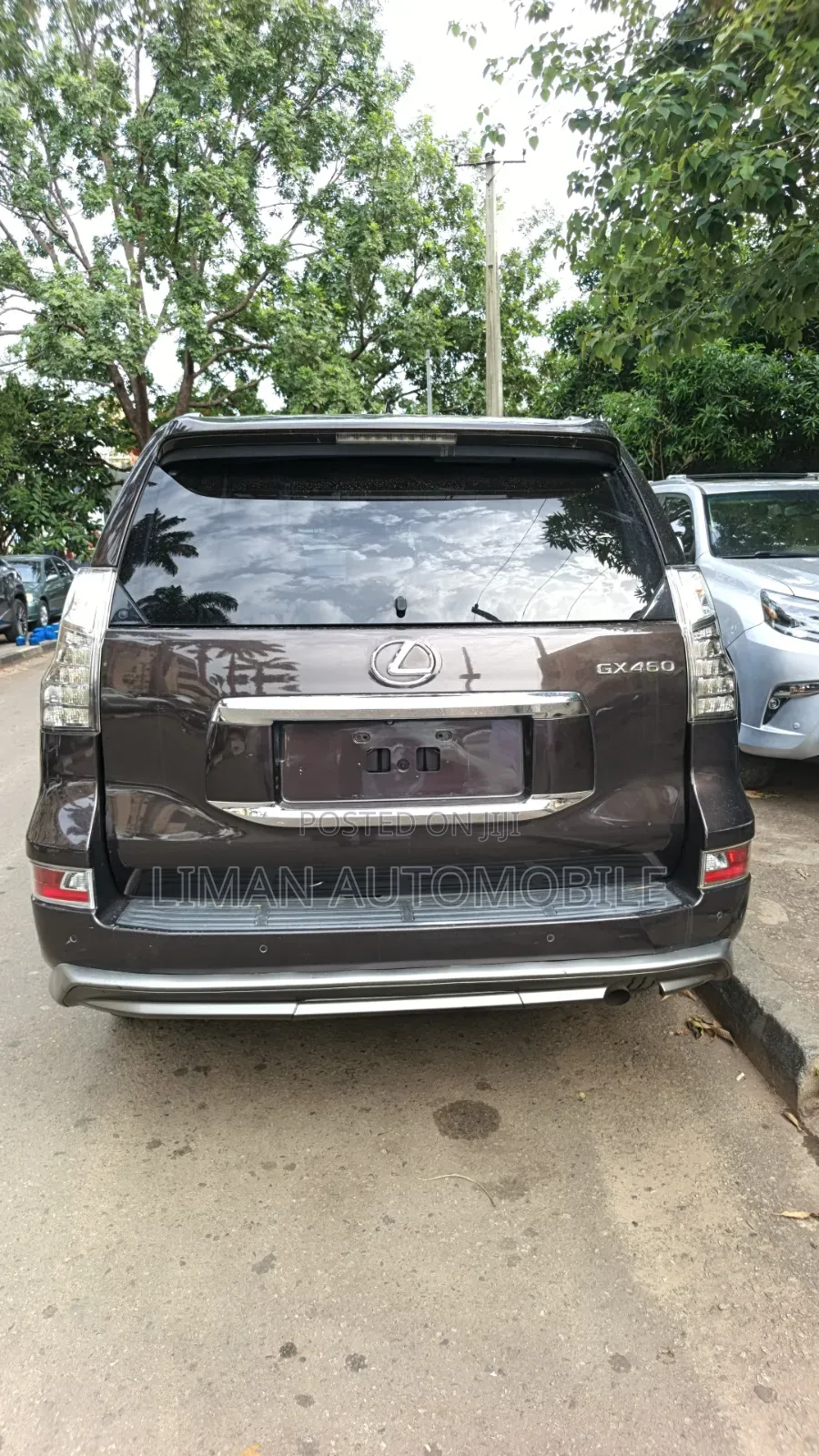 Lexus GX 460 Luxury 2019 Brown
