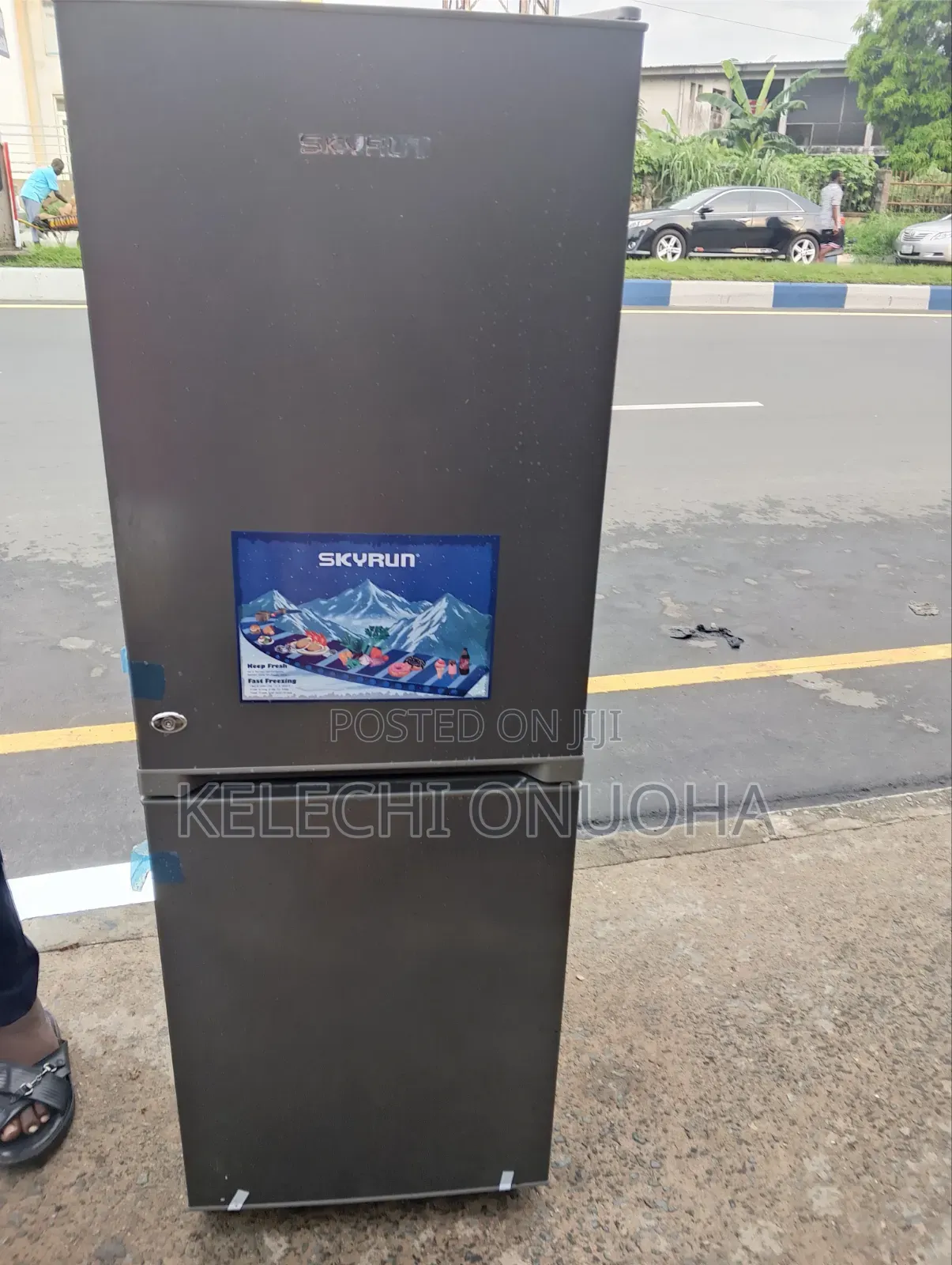 Skyrun Fridge With Inverter Friendly Compressor Low Voltage