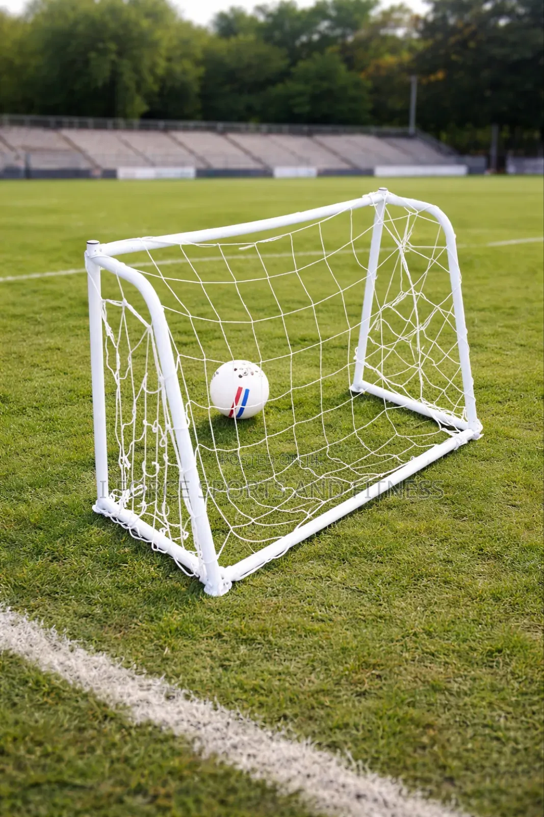 Mini Goal Post