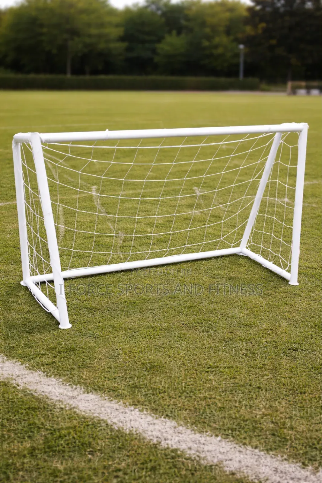 Mini Goal Post