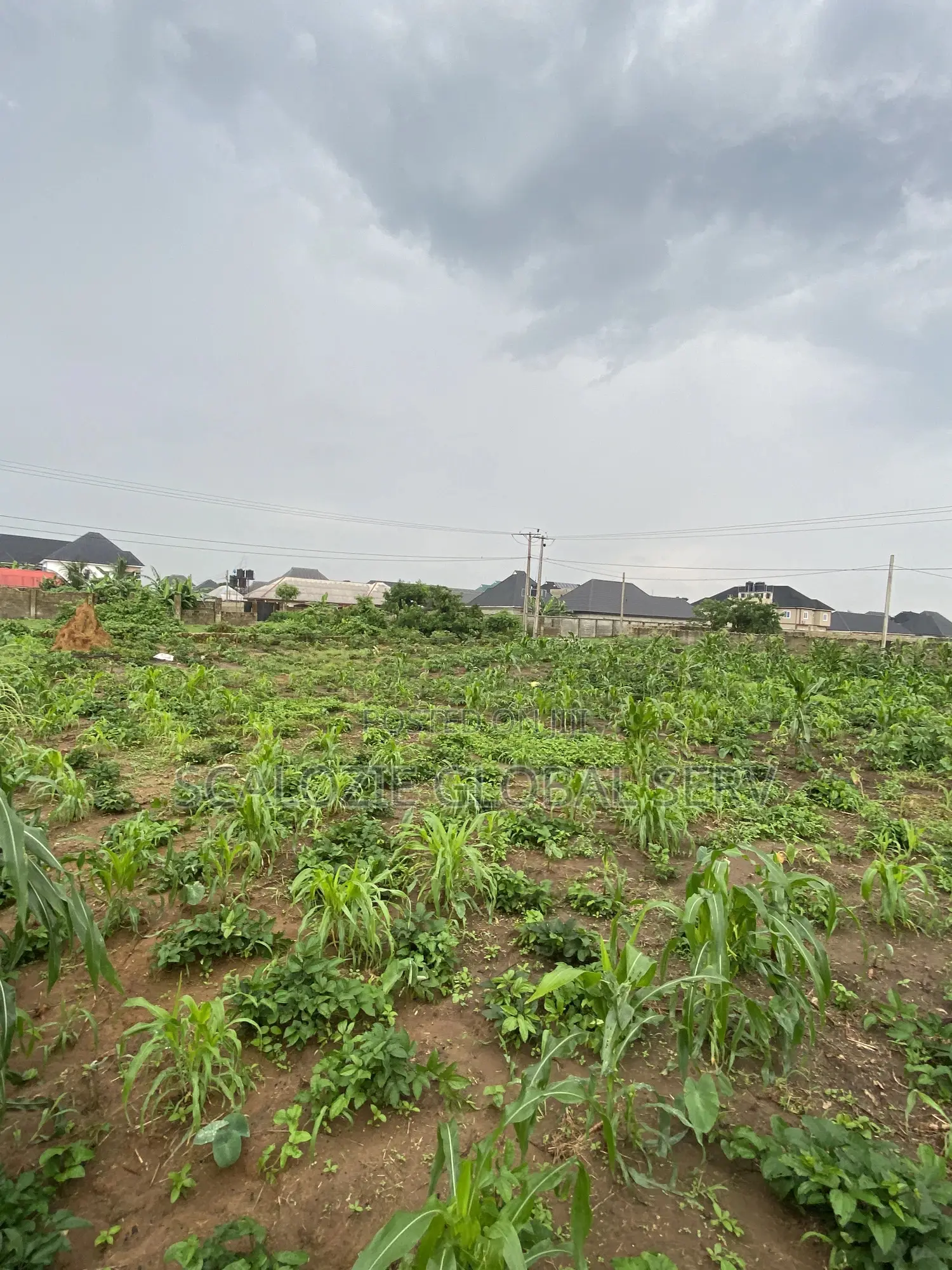 Distress Sale 2 Plots of Land With Constant Electricity Security