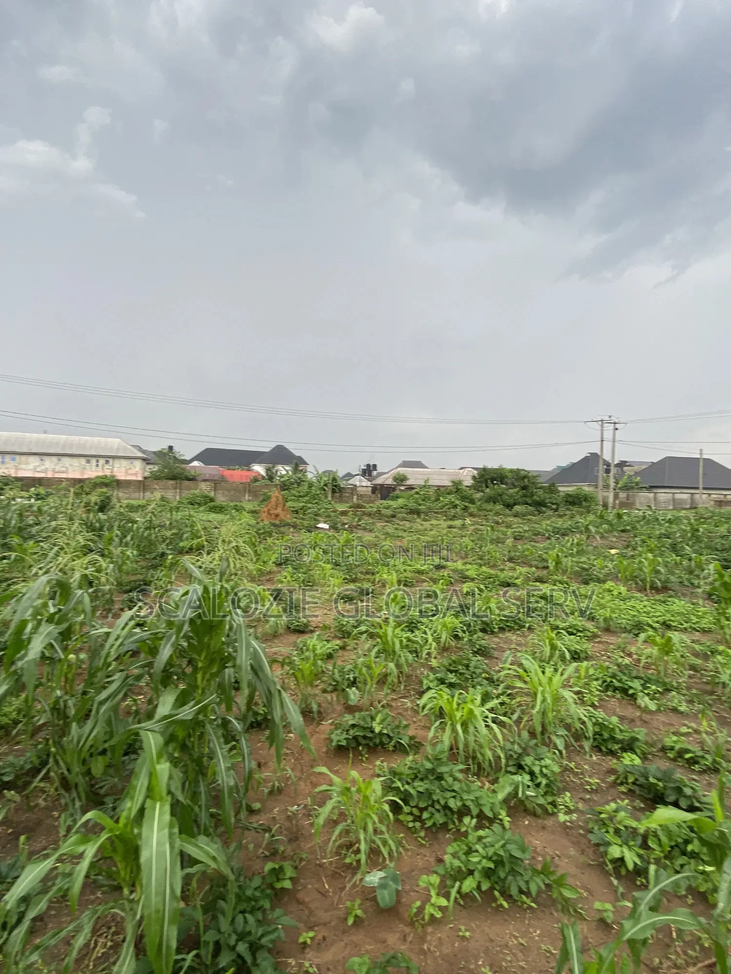 Distress Sale 2 Plots of Land With Constant Electricity Security