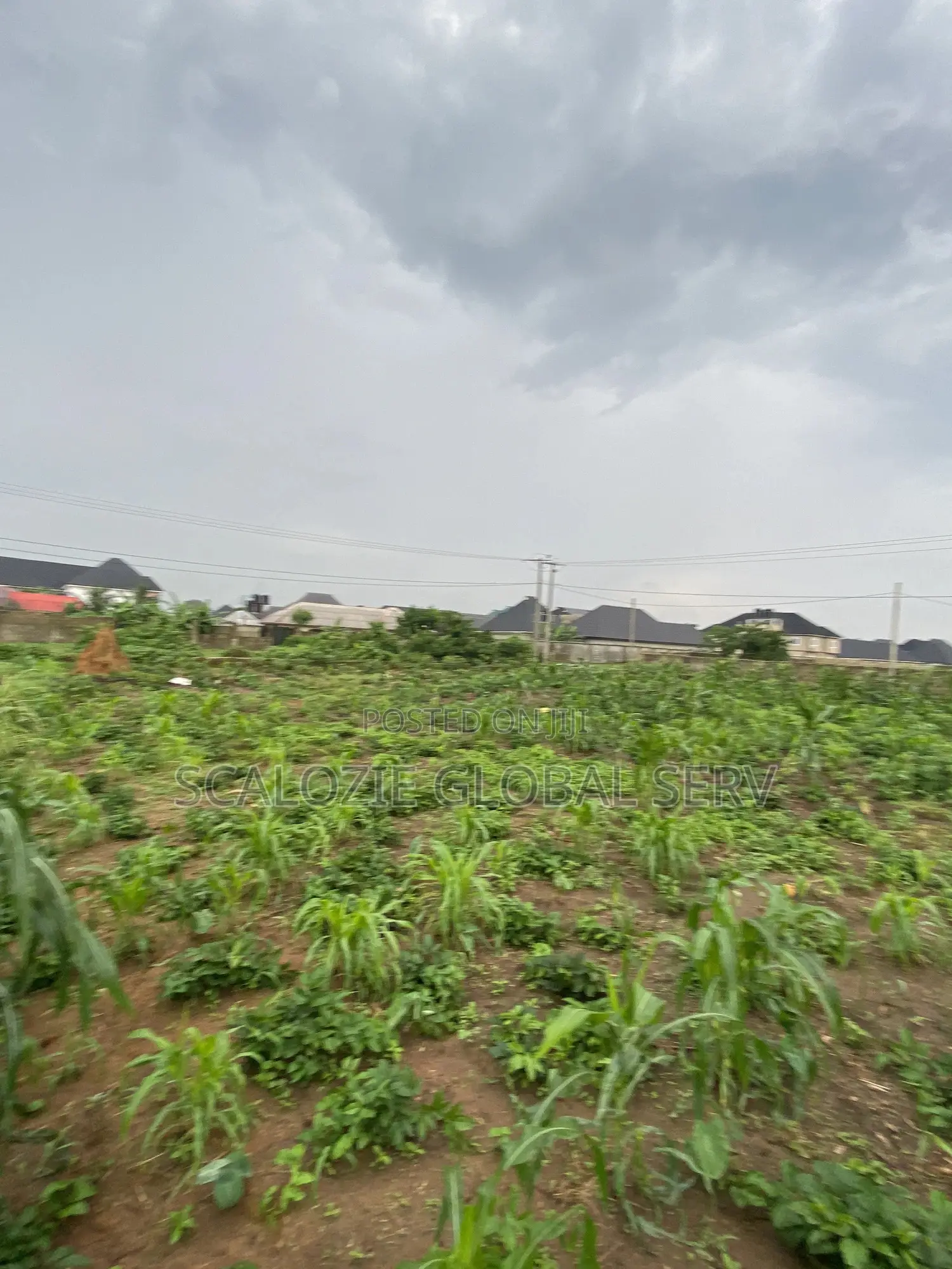 Distress Sale 2 Plots of Land With Constant Electricity Security