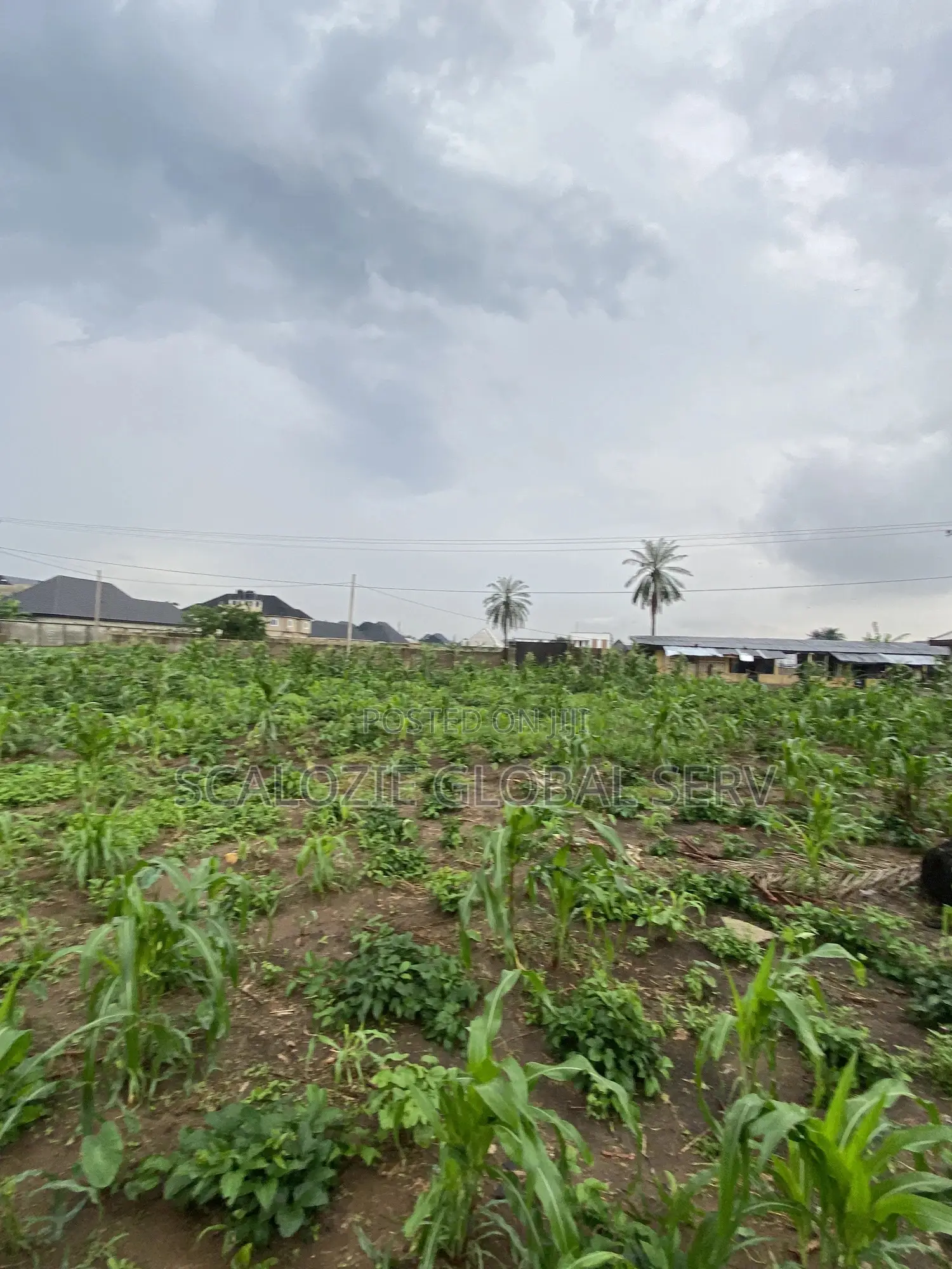 Distress Sale 2 Plots of Land With Constant Electricity Security