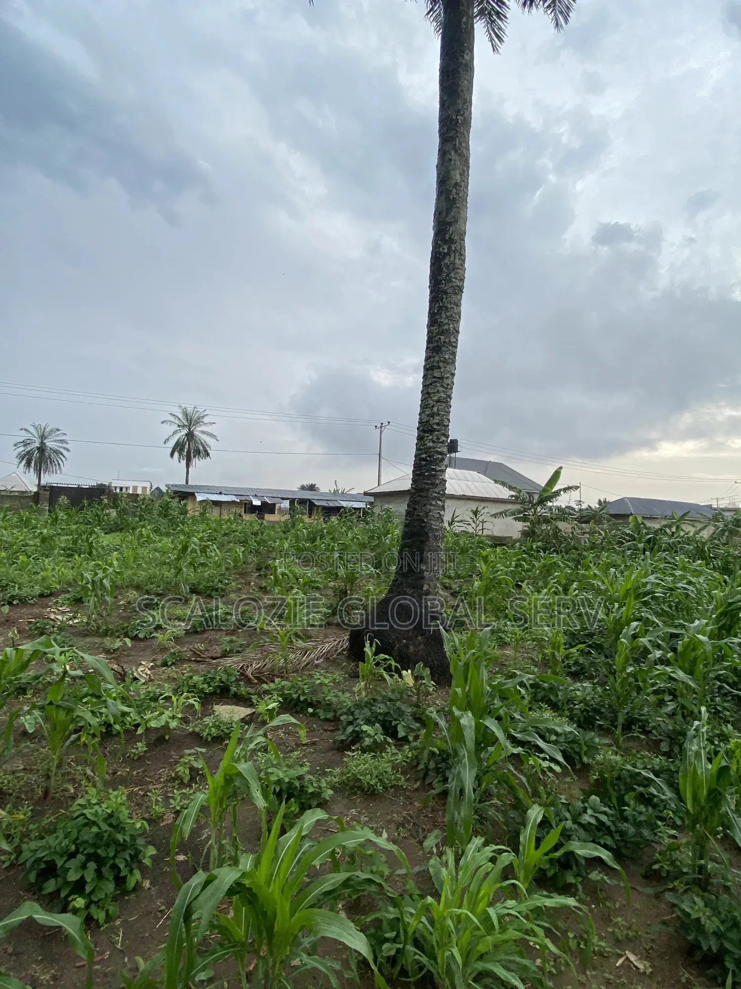 Distress Sale 2 Plots of Land With Constant Electricity Security