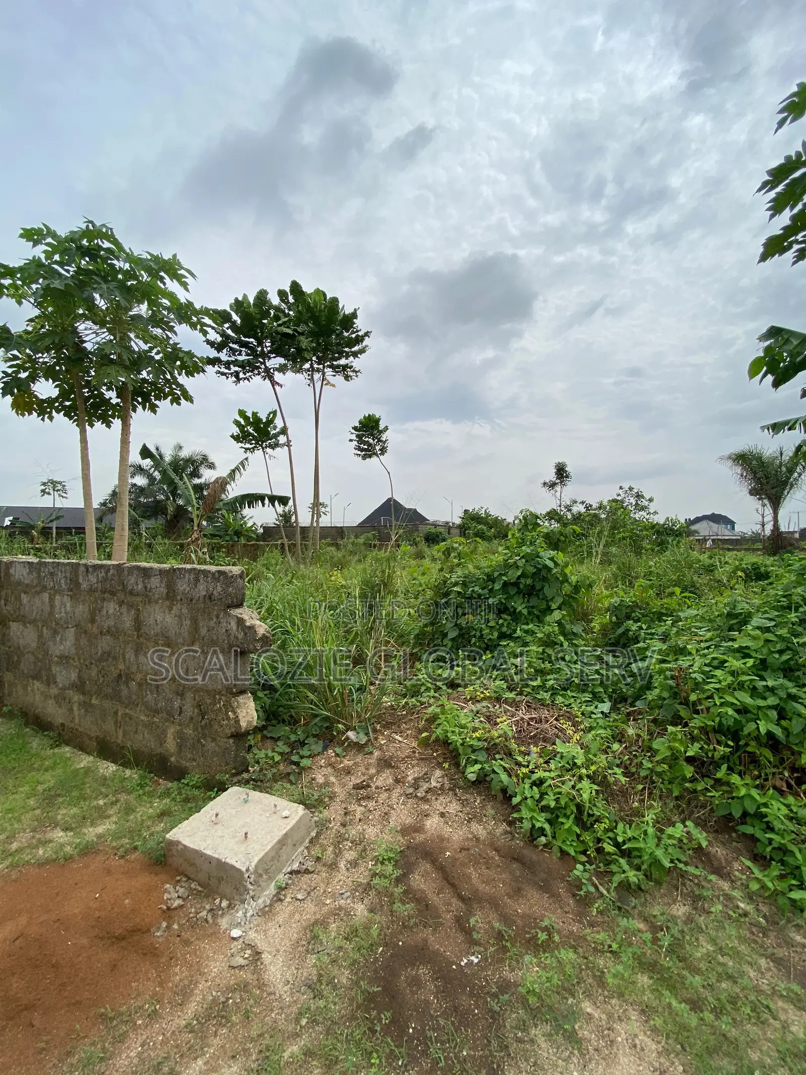 Standard 1 Plot Of Land With Constant Electricity And Secured Estate