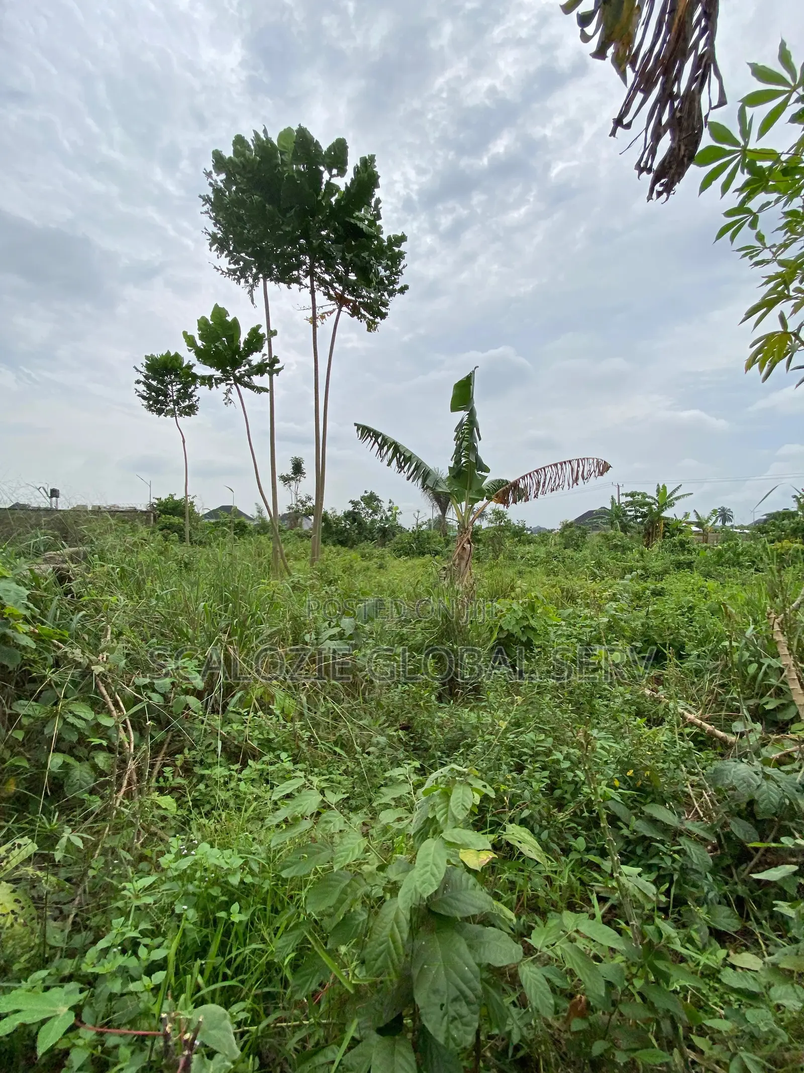 Standard 1 Plot Of Land With Constant Electricity And Secured Estate
