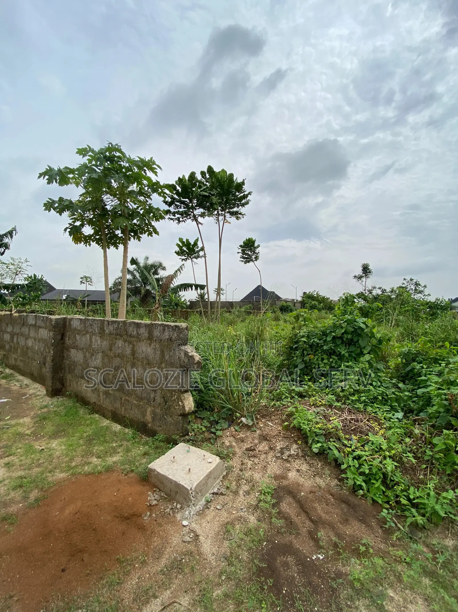 Standard 1 Plot Of Land With Constant Electricity And Secured Estate
