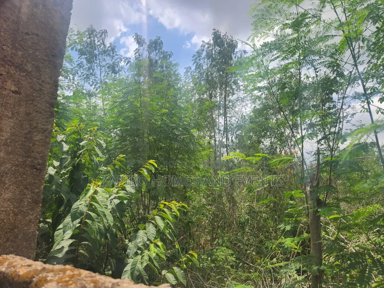 Fenced and Gated 4 Plot of Land at Akingbile Oluana Moniya Iita Road