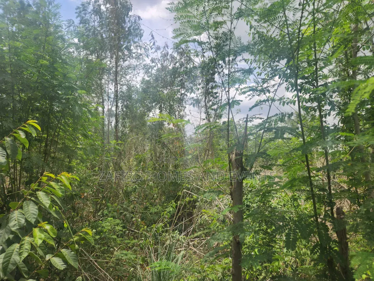 Fenced and Gated 4 Plot of Land at Akingbile Oluana Moniya Iita Road