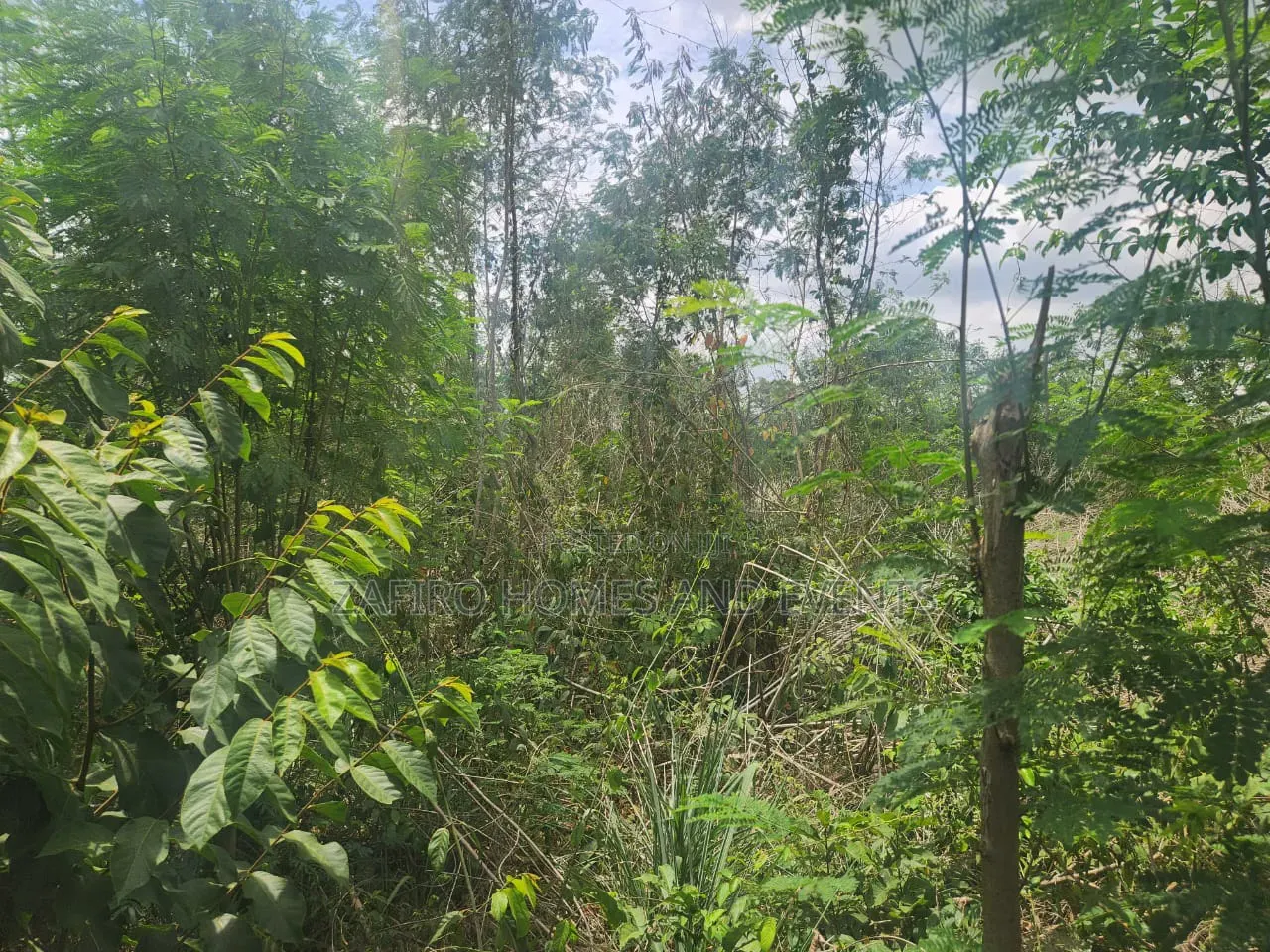 Fenced and Gated 4 Plot of Land at Akingbile Oluana Moniya Iita Road