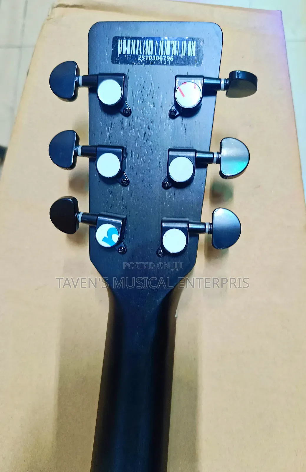 Strinberg Electro Acoustic Guitar