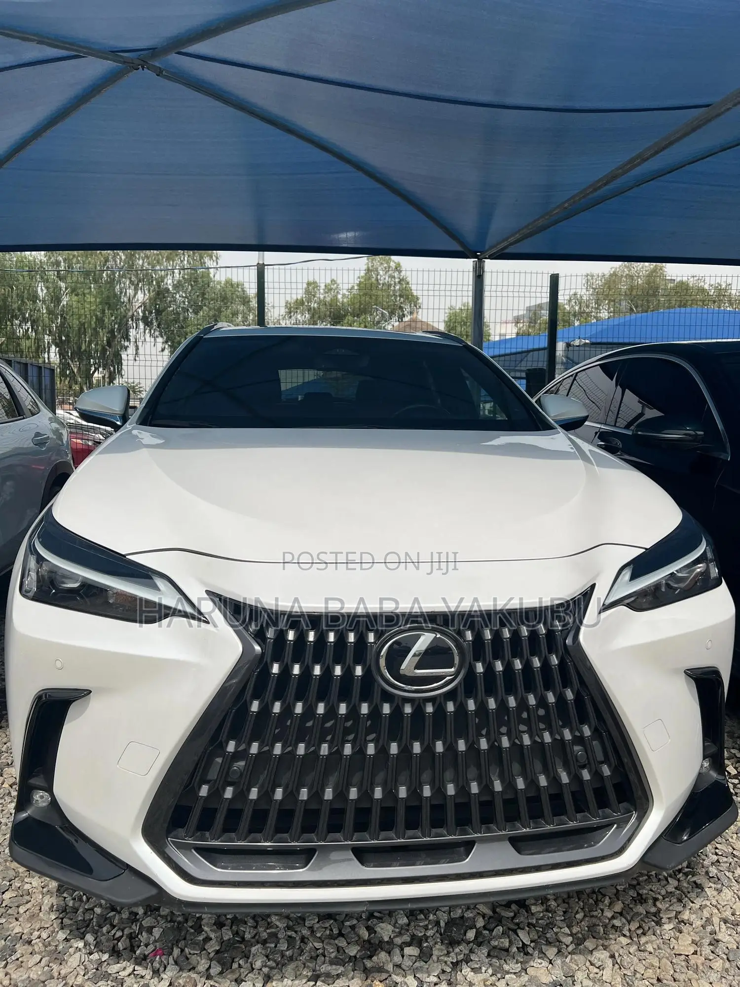 Lexus NX 250 2024 White