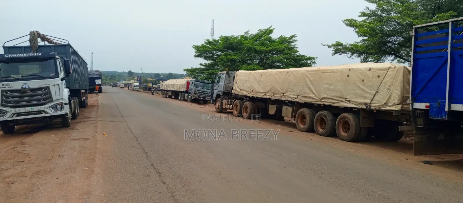 We Sell Both Dangote and Boa Cement