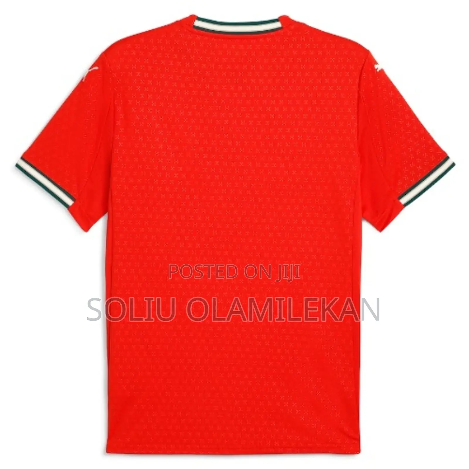 Puma Portugal Classic Home Jersey