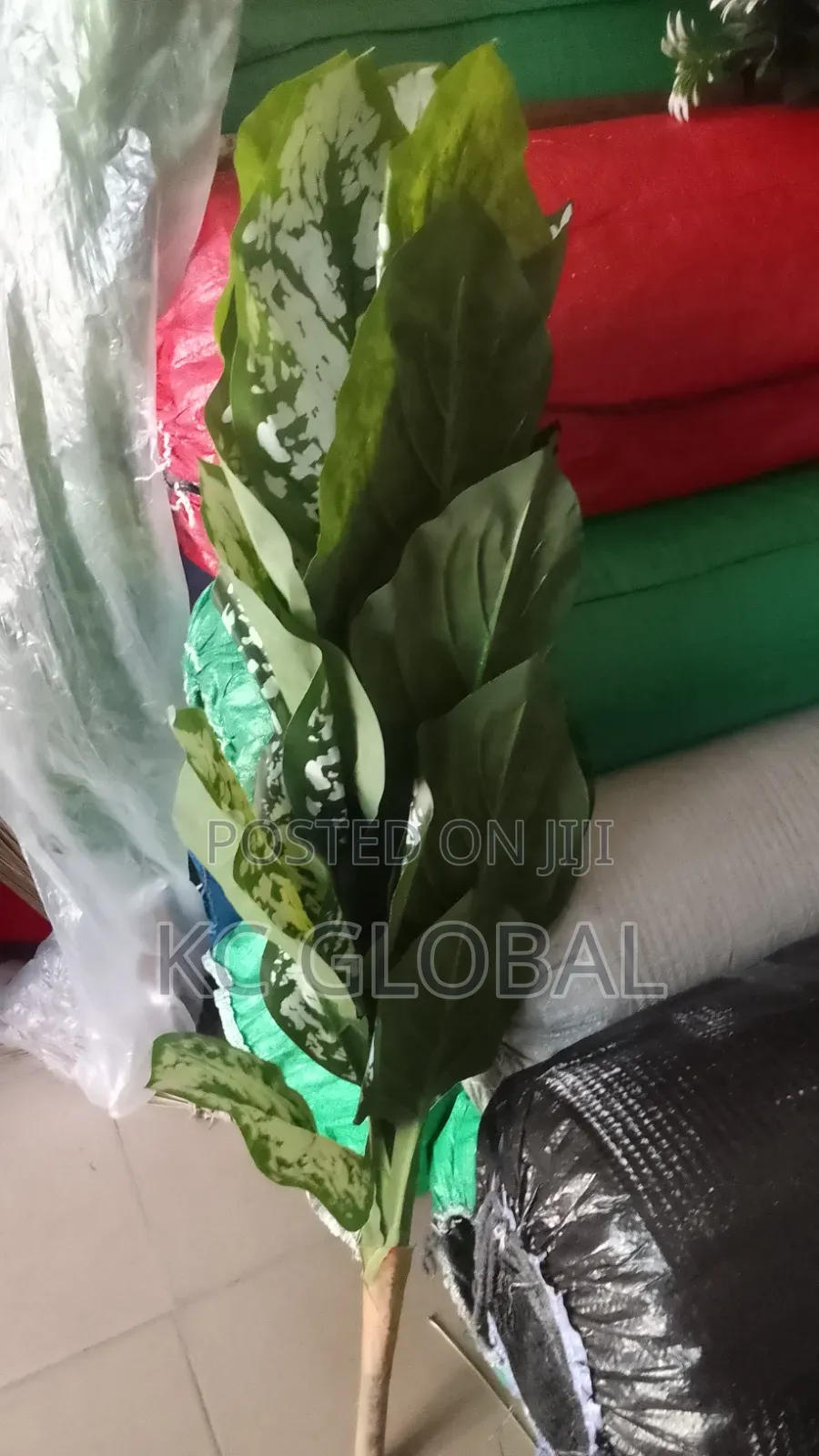Flower Tree Available