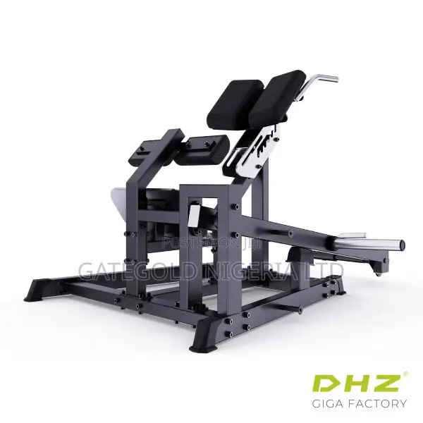A627 45 Degree Hip Extension (Dhz Fitness Brand)