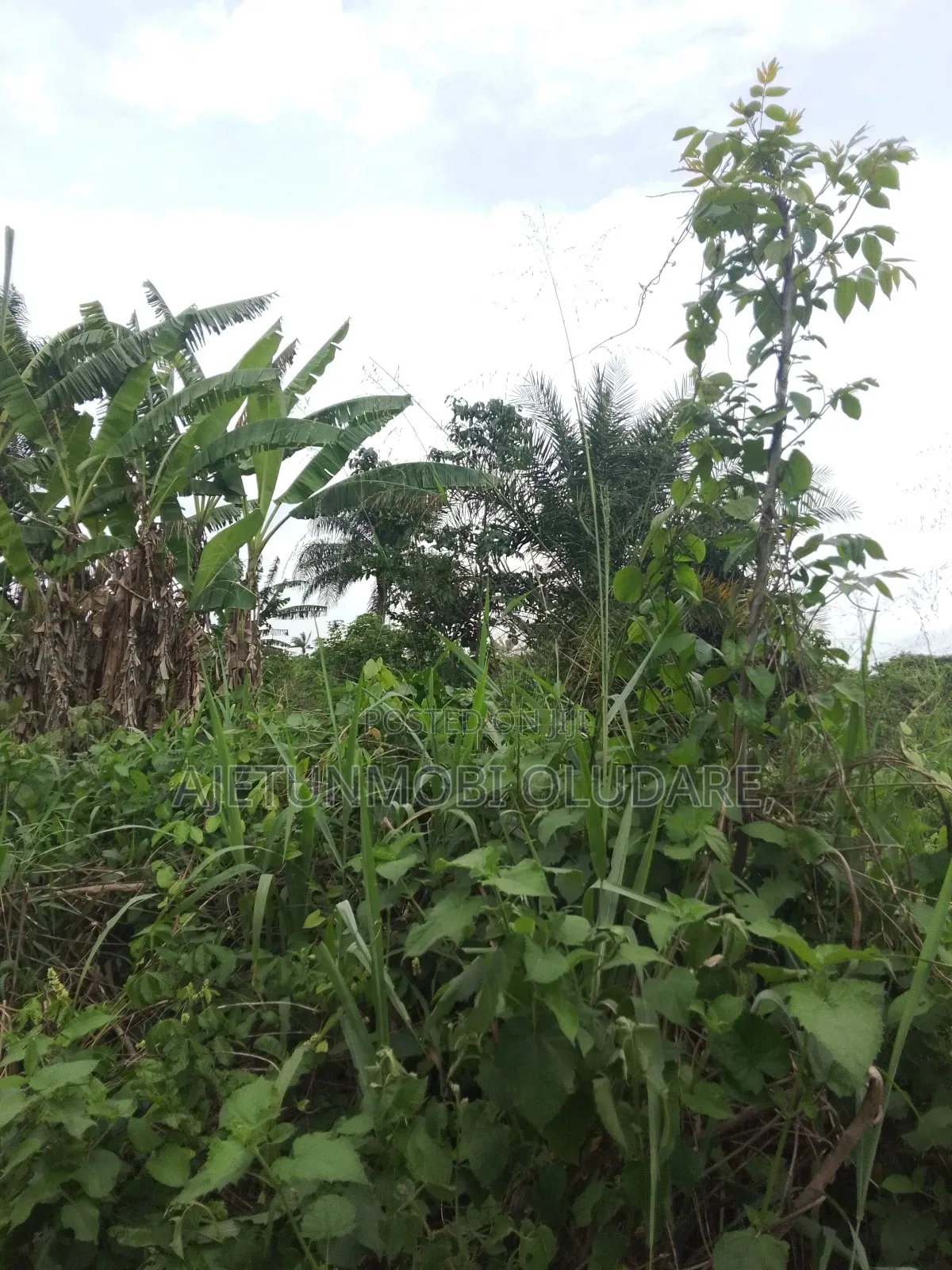 200 Plots of Farmland for Sale