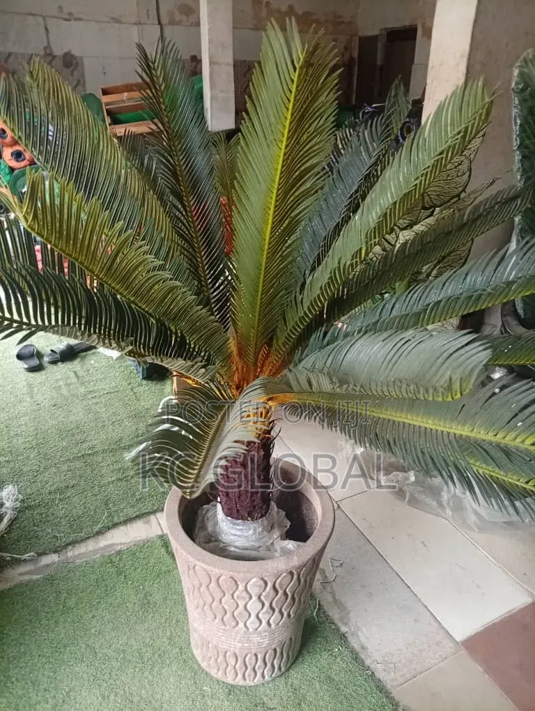High Quality Flower Available