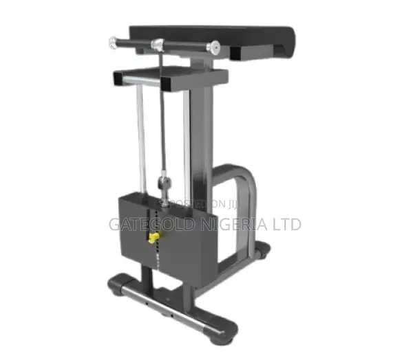 Dft-1268 Wrist Curl (Gategold Brand)